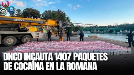 Operativo De La DNCD Decomisa Una Cantidad De 1407 Paquetes De Cocaína En La Romana