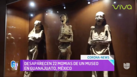 Se Roban 22 Momias En Un Museo De Mexico