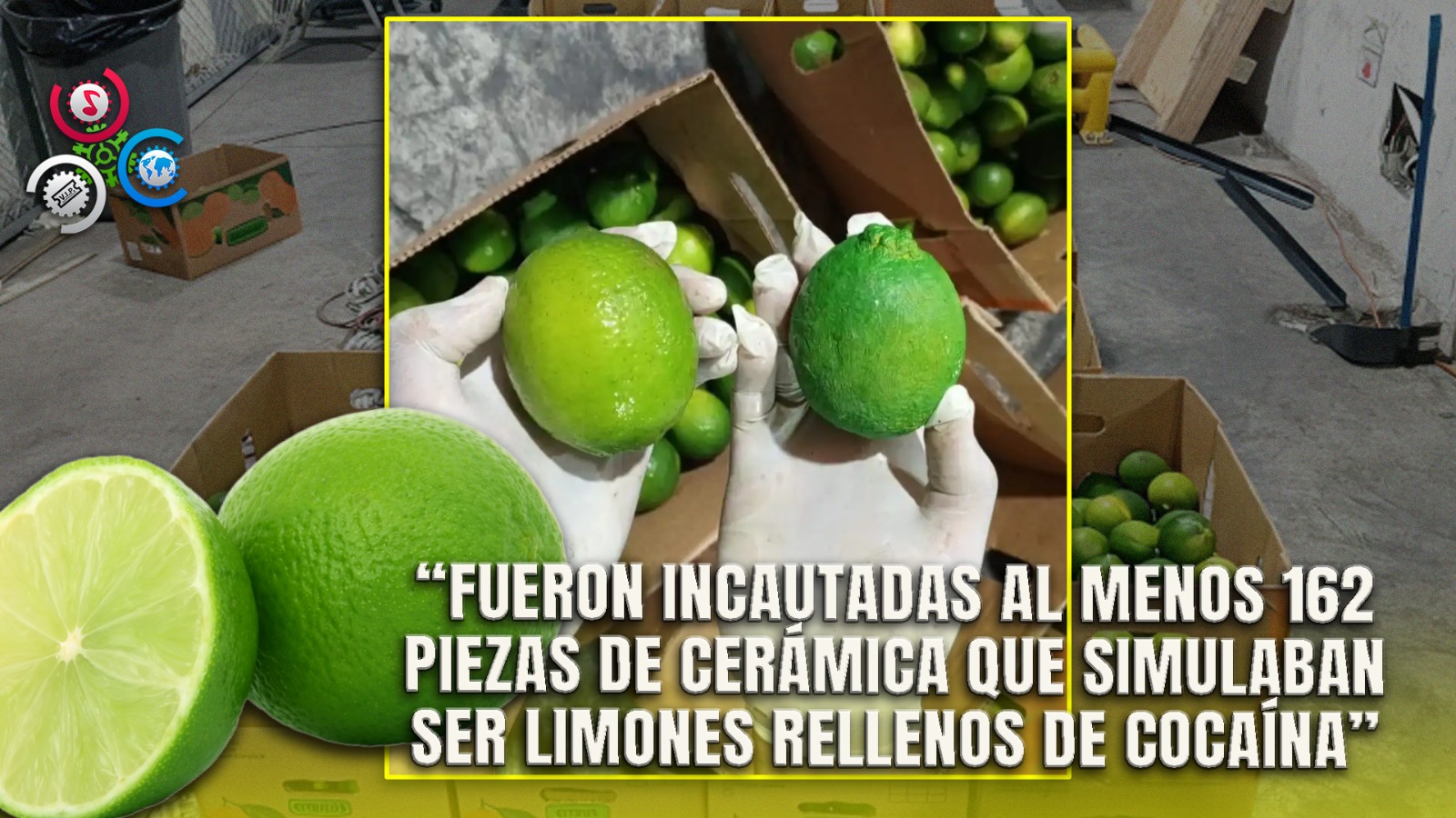 162 Cerámicas Con Cocaína Incautadas Por La DNCD En Operativo