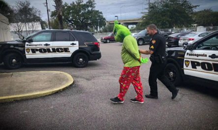 Arrestan Al Grinch Por Intentar Robarse La Navidad