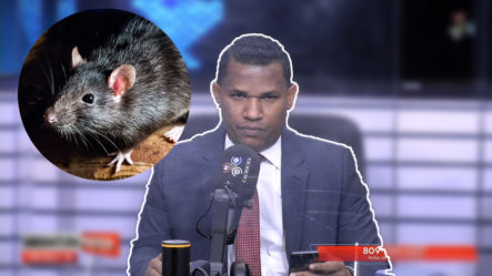 Joel Adames Llama “rata” A Quien Tiró ácido Del Diablo A La Joven | Asignatura Política