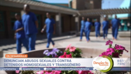 Denuncian Abusos Sexsuales Contra Detenidos Homosexuales Y Transgénero