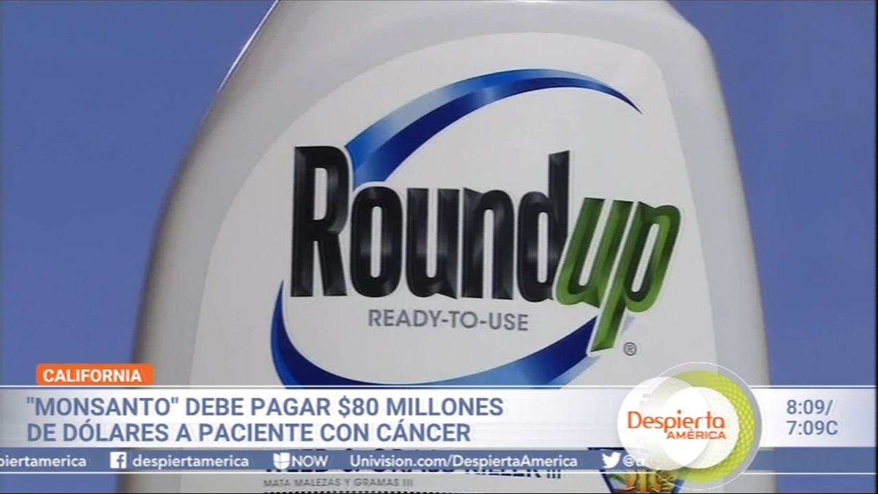 “Monsanto” Debe Pagar $80 Millones De Dólares A Paciente Con Cáncer