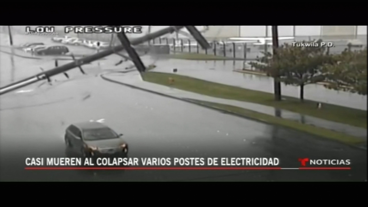 Casi Mueren Al Colapsar Varios Postes De Electricidad