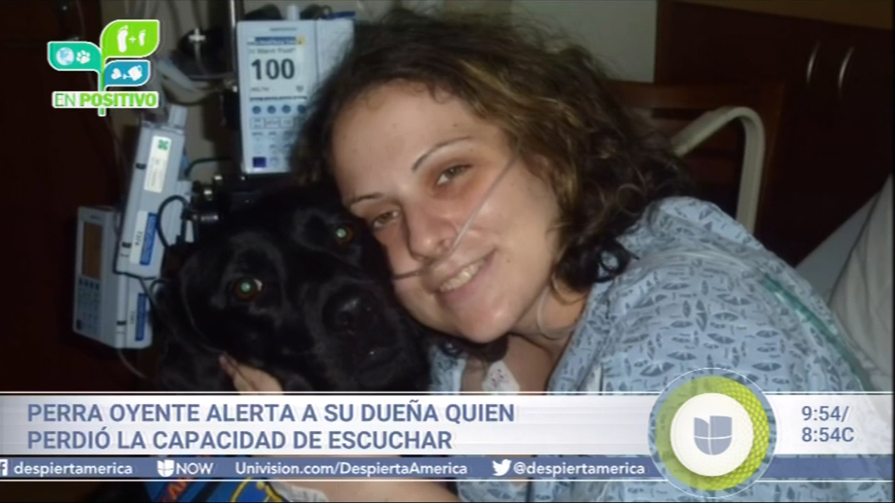 Perra Oyente Alerta A Su Dueña Quien Perdió La Capacidad De Escuchar