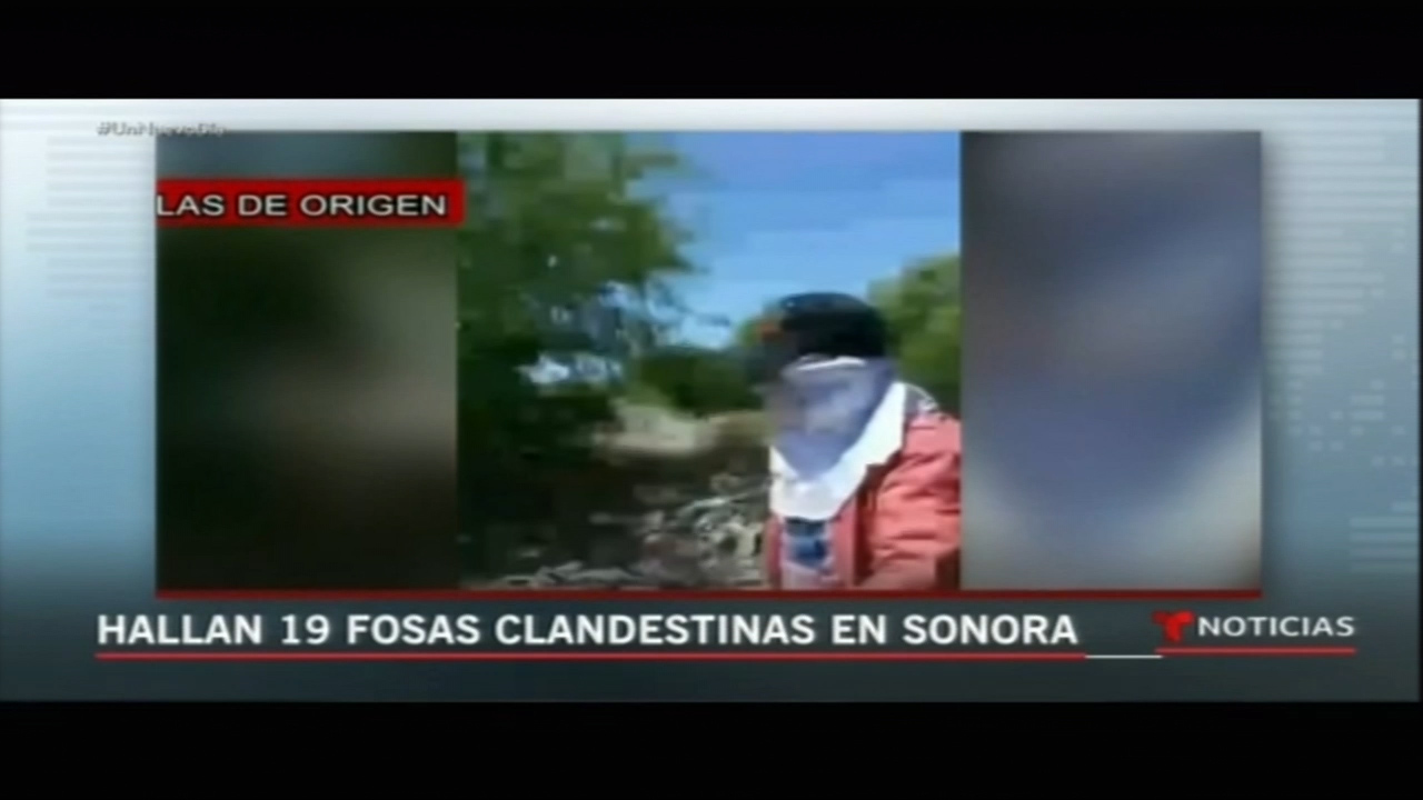Hallan 19 Fosas Clandestinas En Sonora