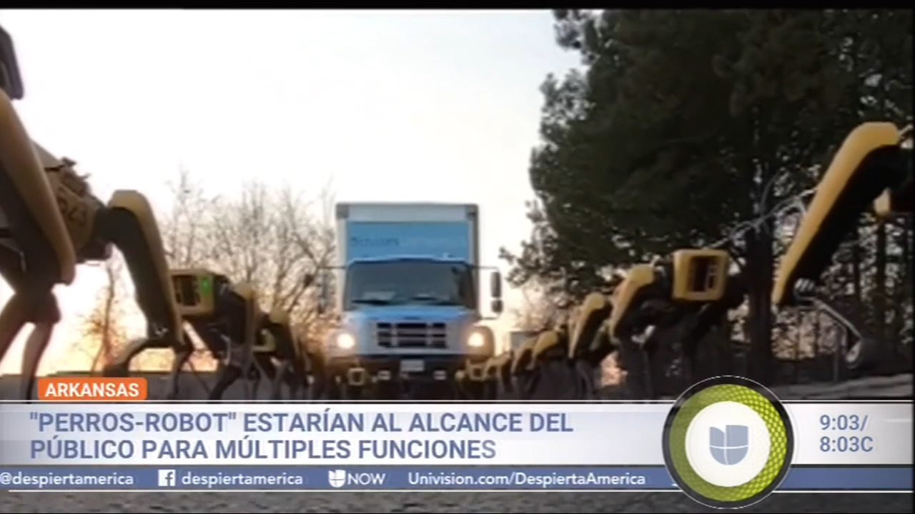 “Perros-Robot” Estarían Al Alcance Del Público Para Múltiples Funciones