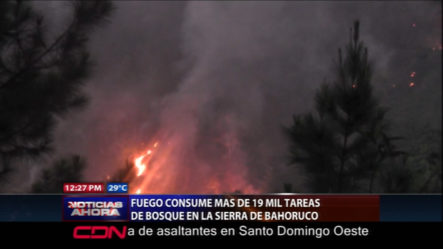 Fuego Consume Más De 19 Mil Tareas De Bosque En La Sierra De Bahoruco