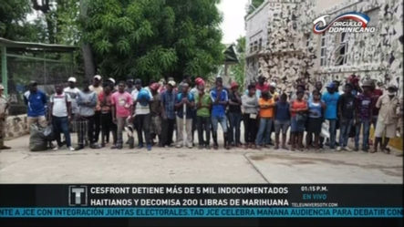 CESFRONT Detiene Más De 5 Mil Indocumentados Haitianos Y Decomisa 200 Libras De Marihuana