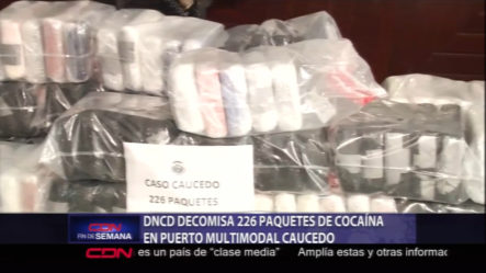 DNCD Decomisa 226 Paquetes De Cocaína En Puerto Multimodal Caucedo