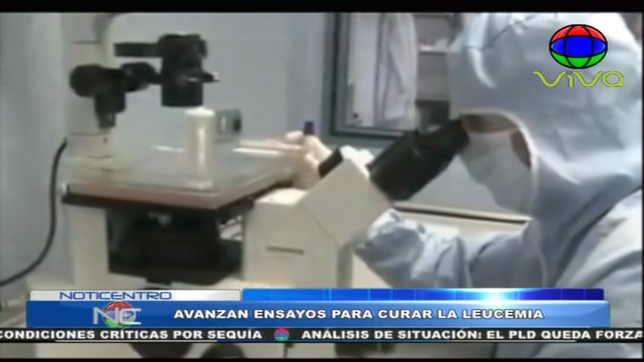 Avanzan Ensayos Para Curar La Leucemia