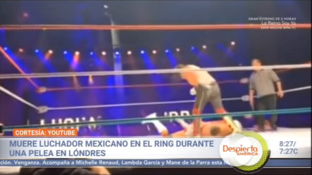 Muere Luchador Mexicano En El Ring Durante Una Pelea En Londres