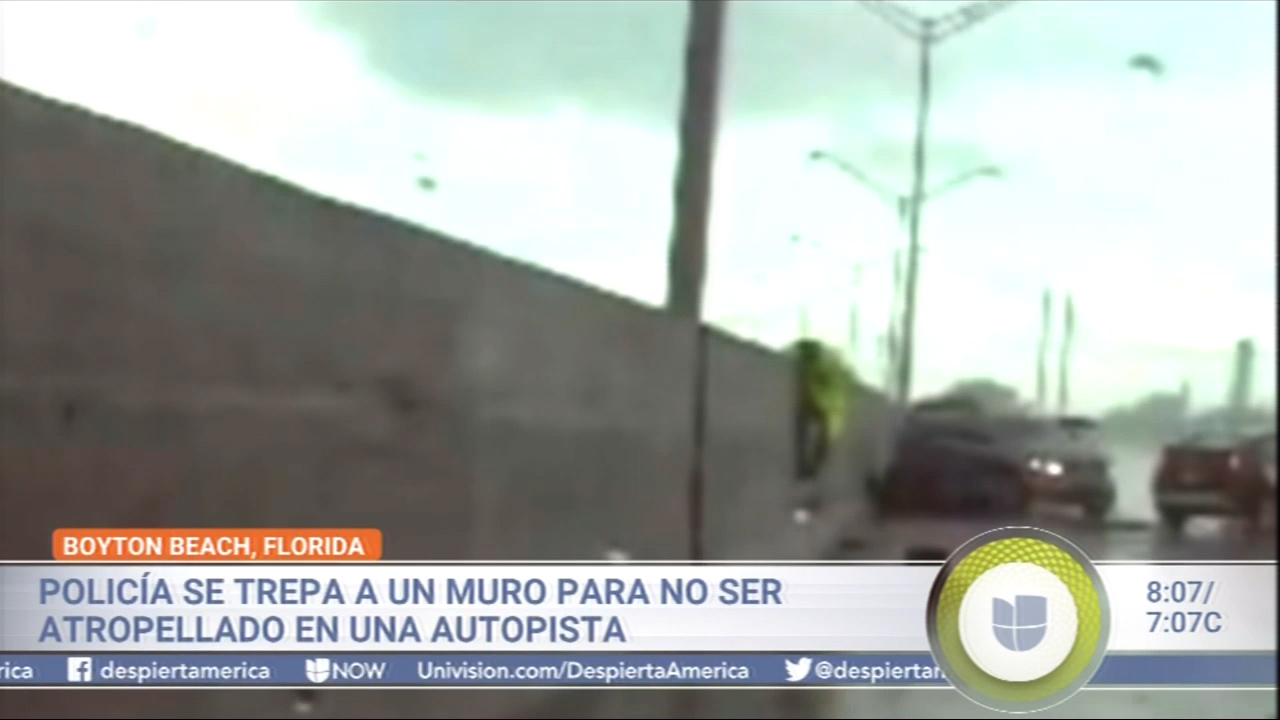 Policía Se Trepa A Un Muro Para No Ser Atropellado En Una Autopista De Florida