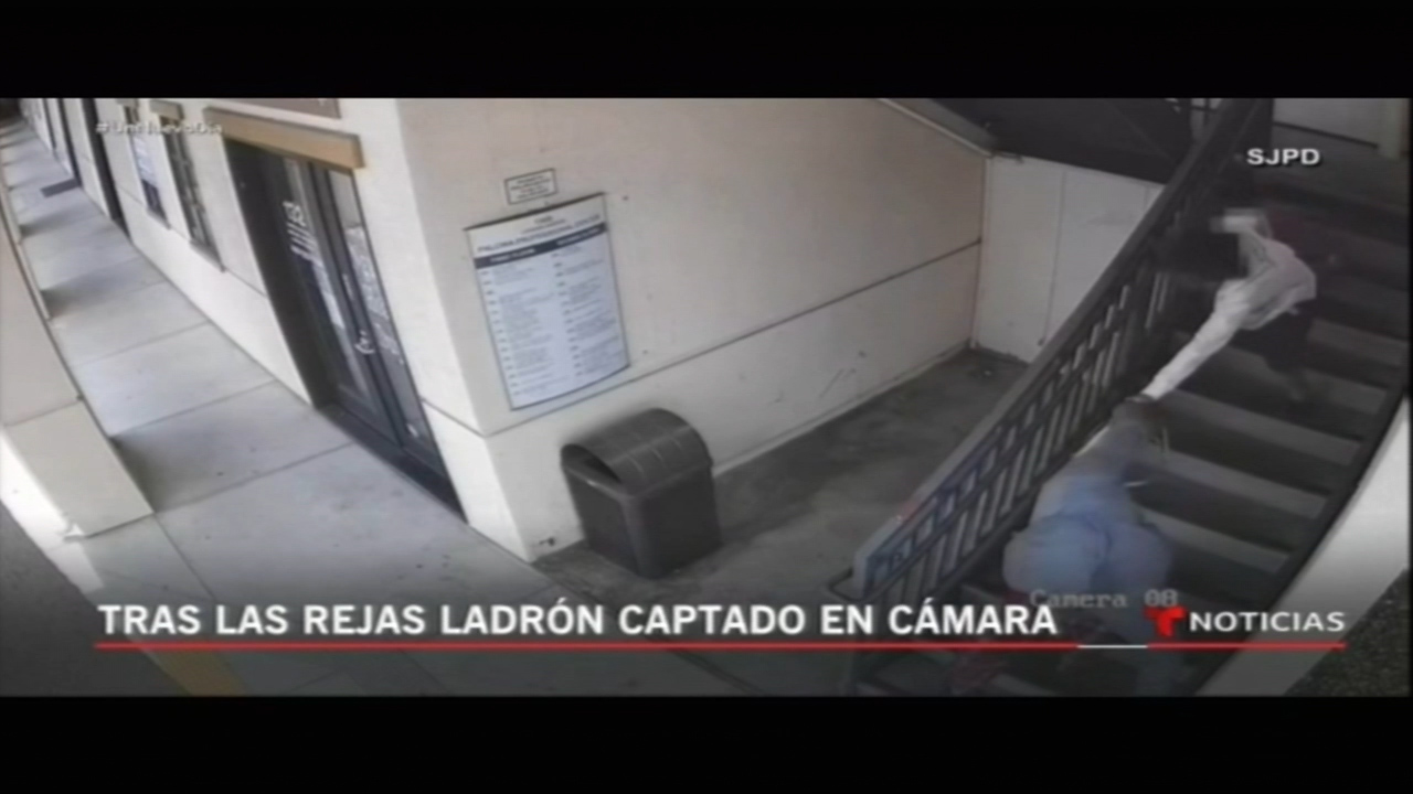 Tras Las Rejas Ladrón Que Fue Captado En Cámara