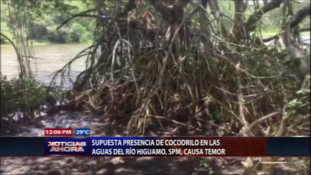 Supuesta Presencia De Cocodrilo En Las Aguas Del Río Higuamo, SPM, Causa Temor