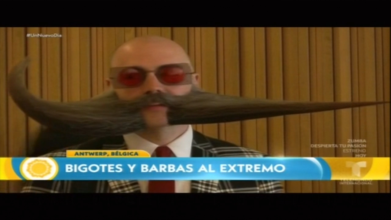 Fiesta De Bigotes Y Barbas Al Extremo