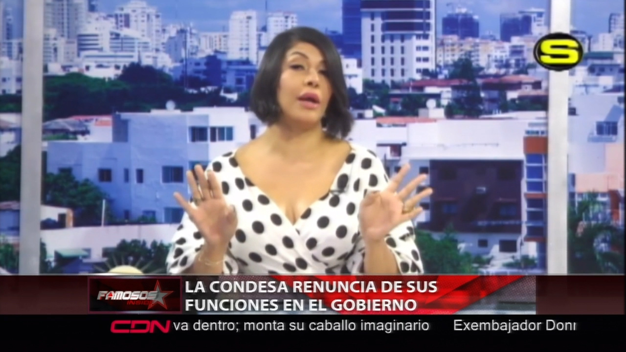 La Condesa Renuncia De Sus Funciones En El Gobierno