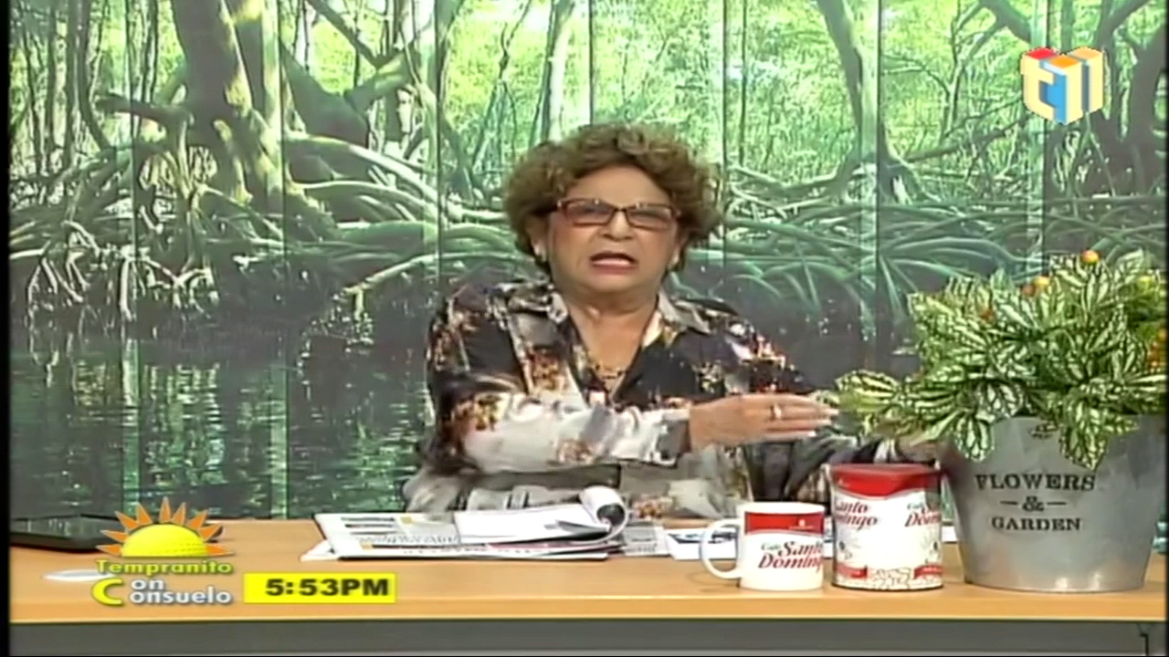 Consuelo Despradel Comenta Sobre El Rechazo De La Iglesia A La Política De Género En Las Escuelas