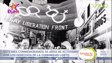 Este Mes Conmemoramos 50 Años De Activismo Por Los Derechos De La Comunidad LGBTQ