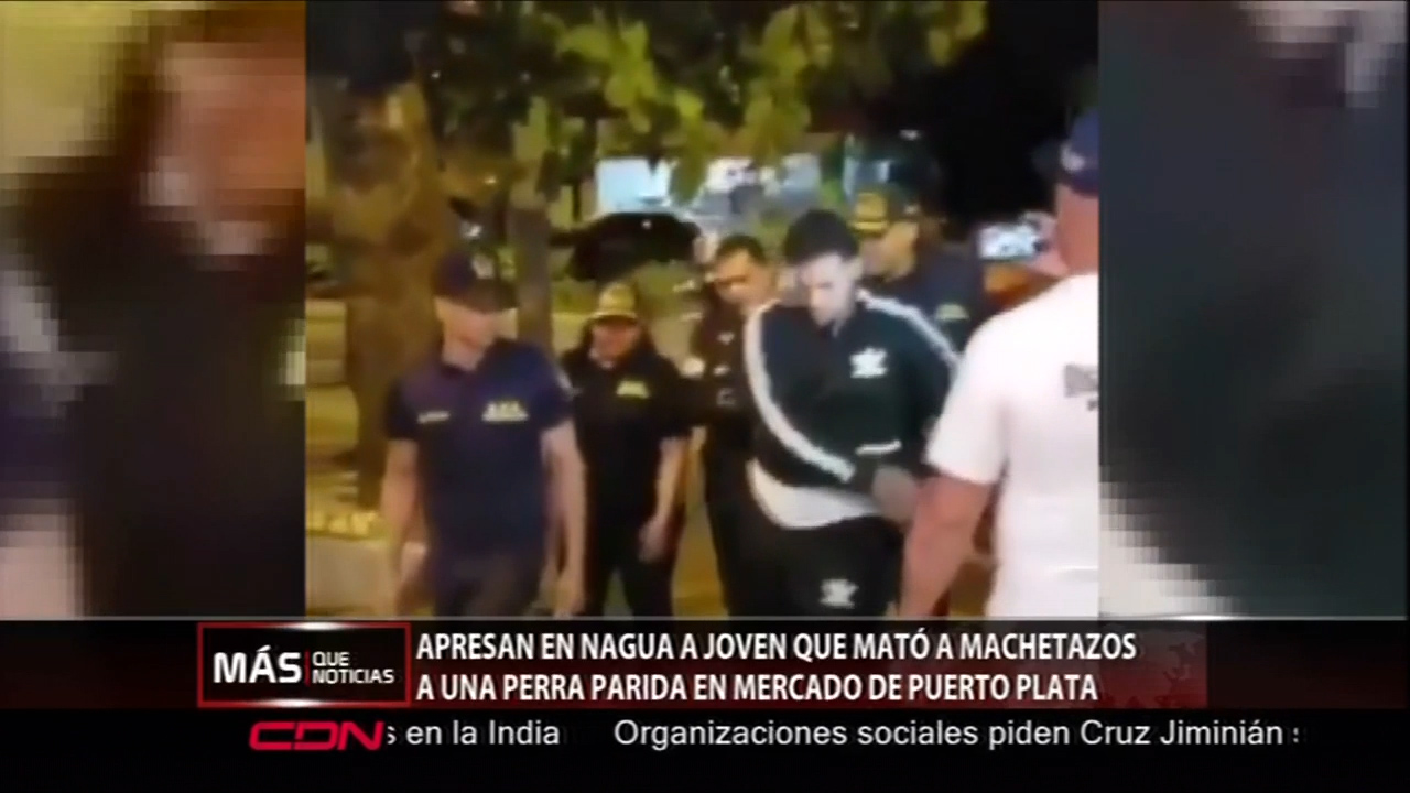 Apresan Joven Que Mató Una Perra A Machetazos