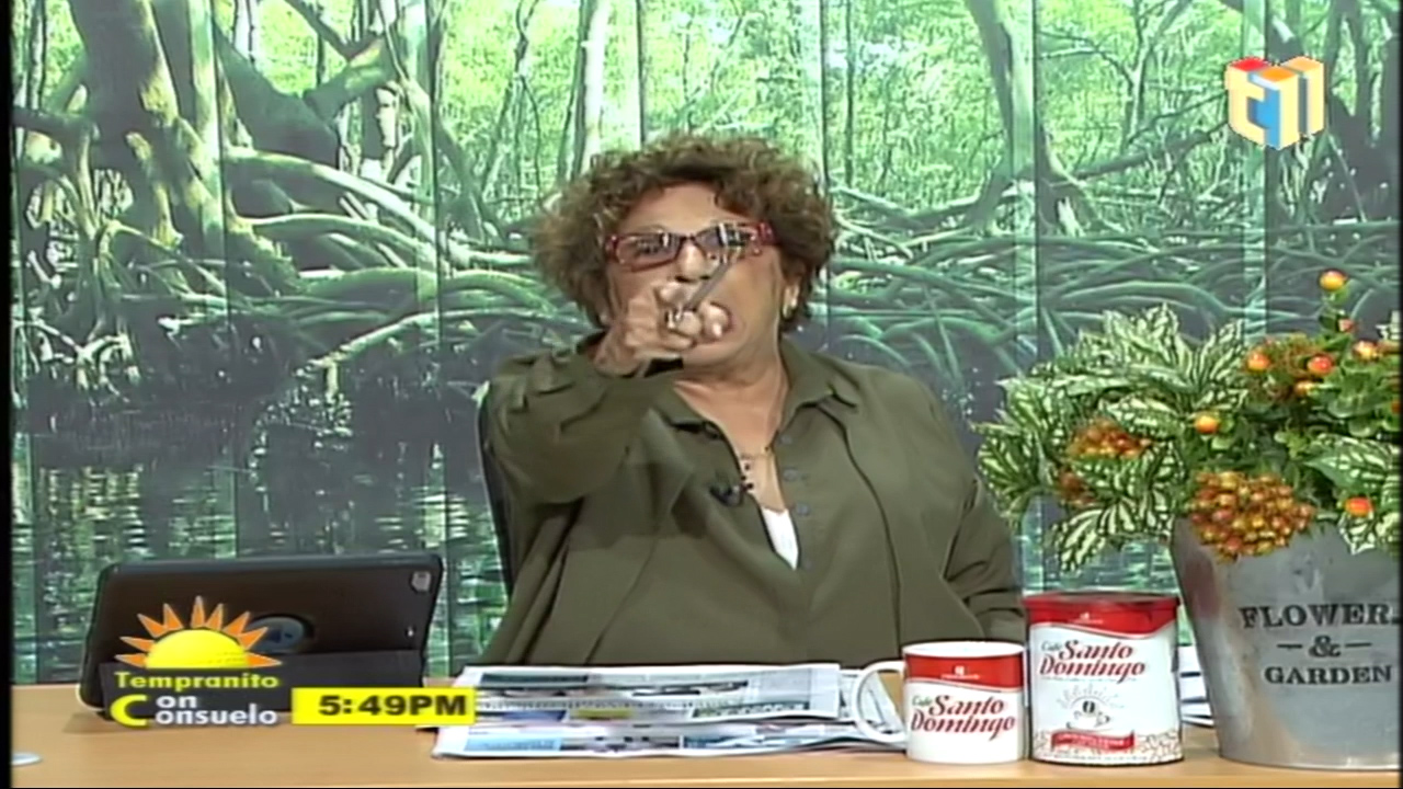 Consuelo Despradel Habla Sobre El Caso Bayly Y La Respuesta De La Embajada De EE.UU.