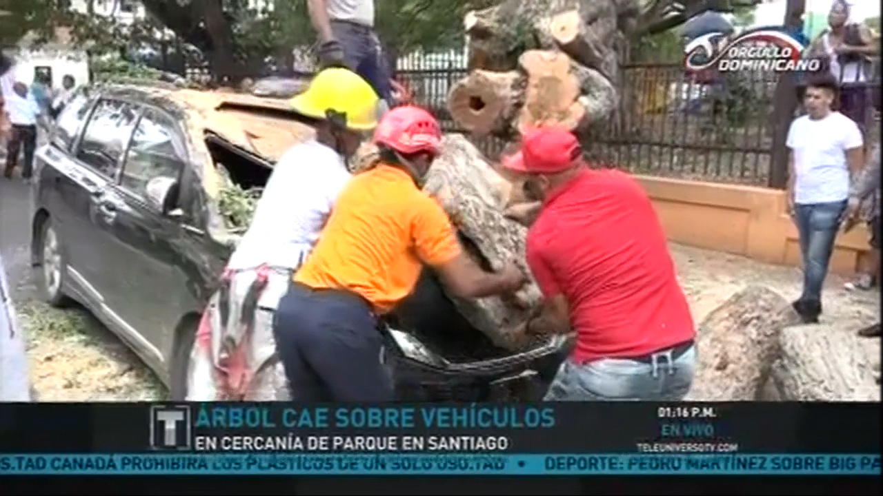 Árbol Cae Sobre Vehículos En Cercanías De Parque En Santiago