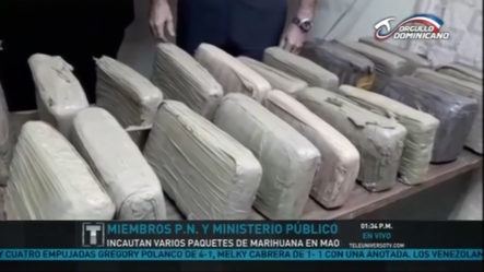 Miembros PN Y Ministerio Público Incautaron Varios Paquetes De Marihuana En Mao