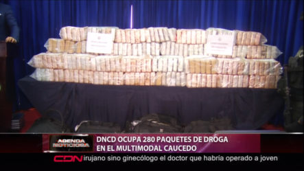 DNCD Ocupa 280 Paquetes De Droga En El Multimodal Caucedo