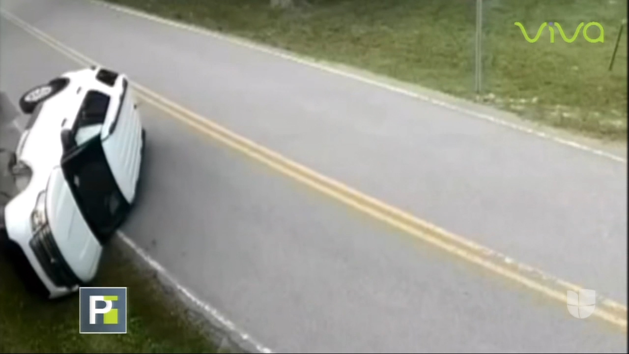 Reacción Alérgica Casi Le Cuesta La Vida A Conductor