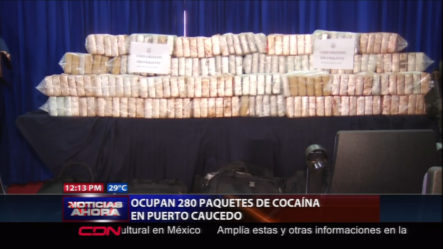 Ocupan 280 Paquetes De Cocaína En Puerto Caucedo