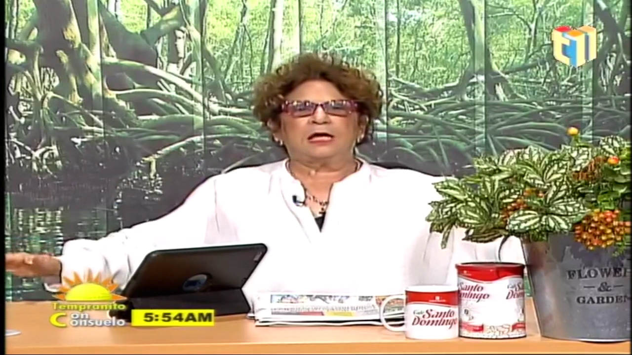 Consuelo Despradel: “Si Ustedes Tienen Todos Los Votos Para Oponerse, Opónganse… Pero Había Que Hacer Este Show”