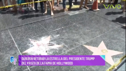 Quieren Retirar La Estrella Del Presidente Trump Del Paseo De La Fama De Hollywood