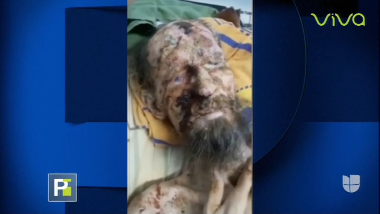 ¡INCREIBLE! Un Oso Tenia A Un Hombre En Su Guarida Almacenado Como Comida