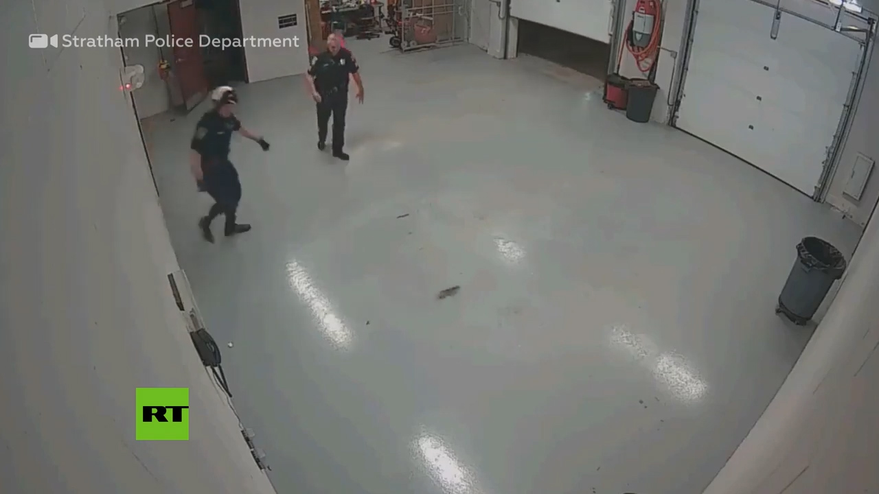 Una Ardilla Aterroriza A Dos Policías En Una Comisaría De EE.UU.