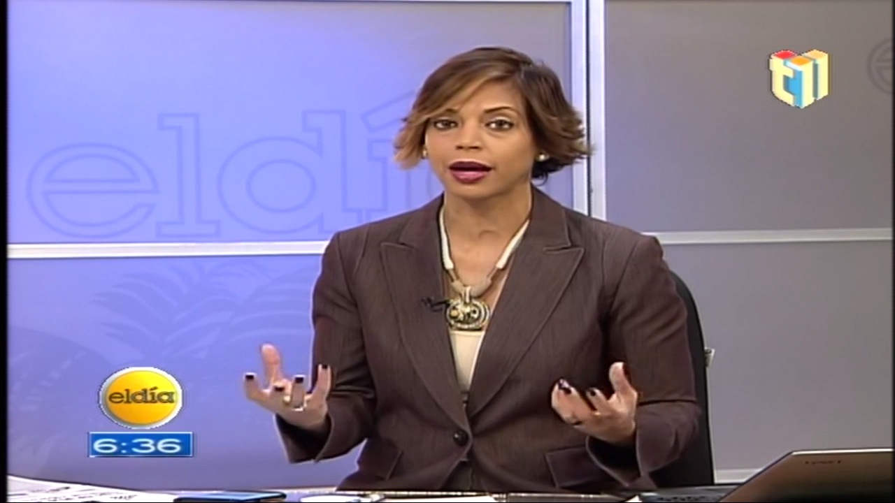 Amelia Deschamps: Leonel No Cuenta Con Los Miembros Del Partido Para Impedir Reforma