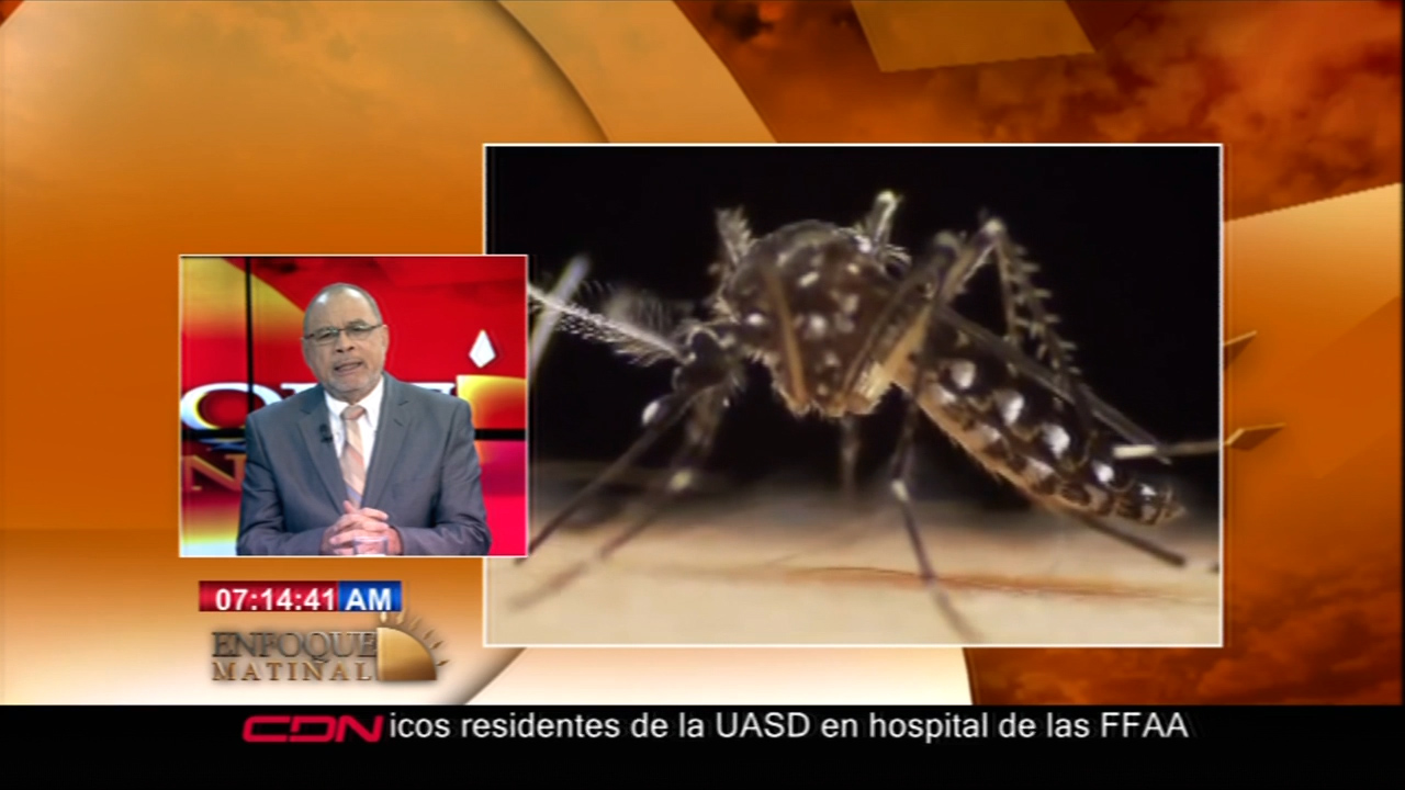 Las Instituciones No Son Honestas Con Sus Cifras De Muertes Por Dengue Y En Salud Cuesta Vidas Que Se Pueden Salvar