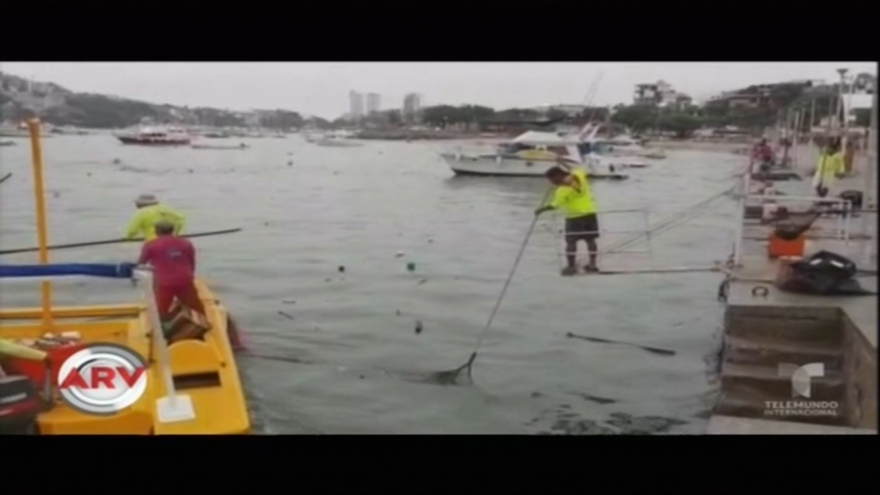 5 De Las Playas Más Populares De México Contaminadas Con Bacteria FECAL