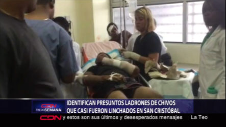 Identifican Presuntos Ladrones De Chivos Que Casi Fueron Linchados En San Cristóbal