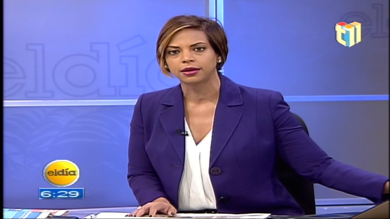 Amelia Deschamps: Es Penosa La Situación Del Partido De La Liberación Dominicana