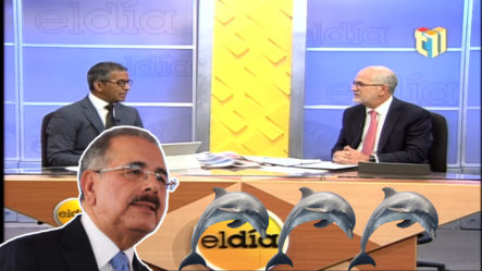 En El Dia Debaten Sobre La Estrategia De Danilo Medina Con Sus Delfines