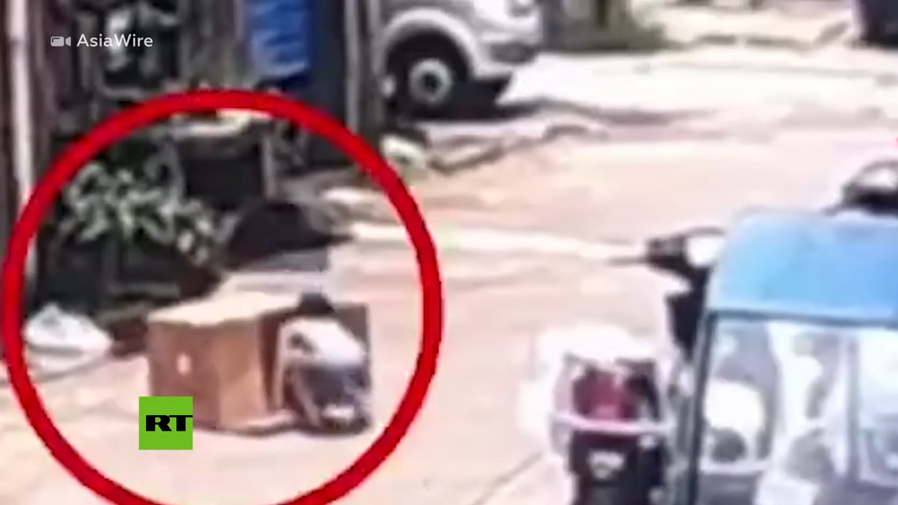 Un Vehículo Utilitario Pasa Por Encima De Una Caja De Cartón En La Que Había Una Niña Dentro