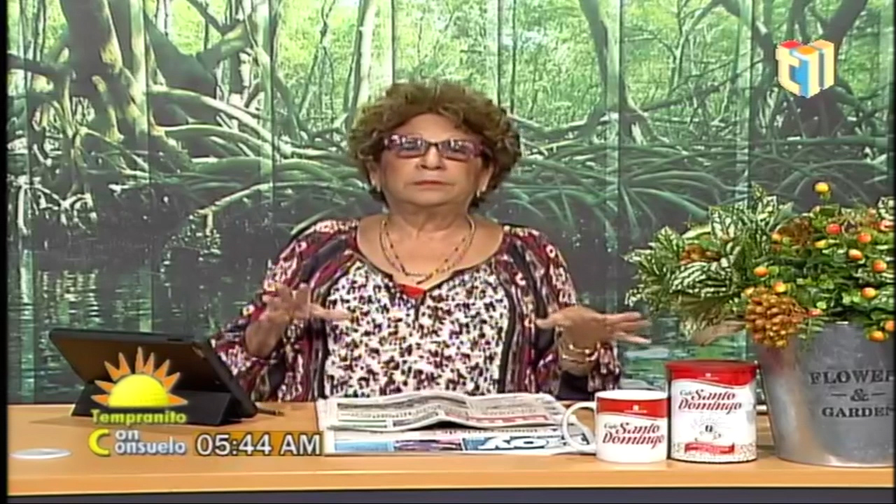 Consuelo Dice Que El PLD Esta Próximo A Perder El Poder