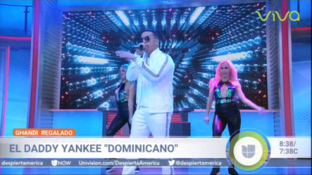 El Daddy Yankee “Dominicano”