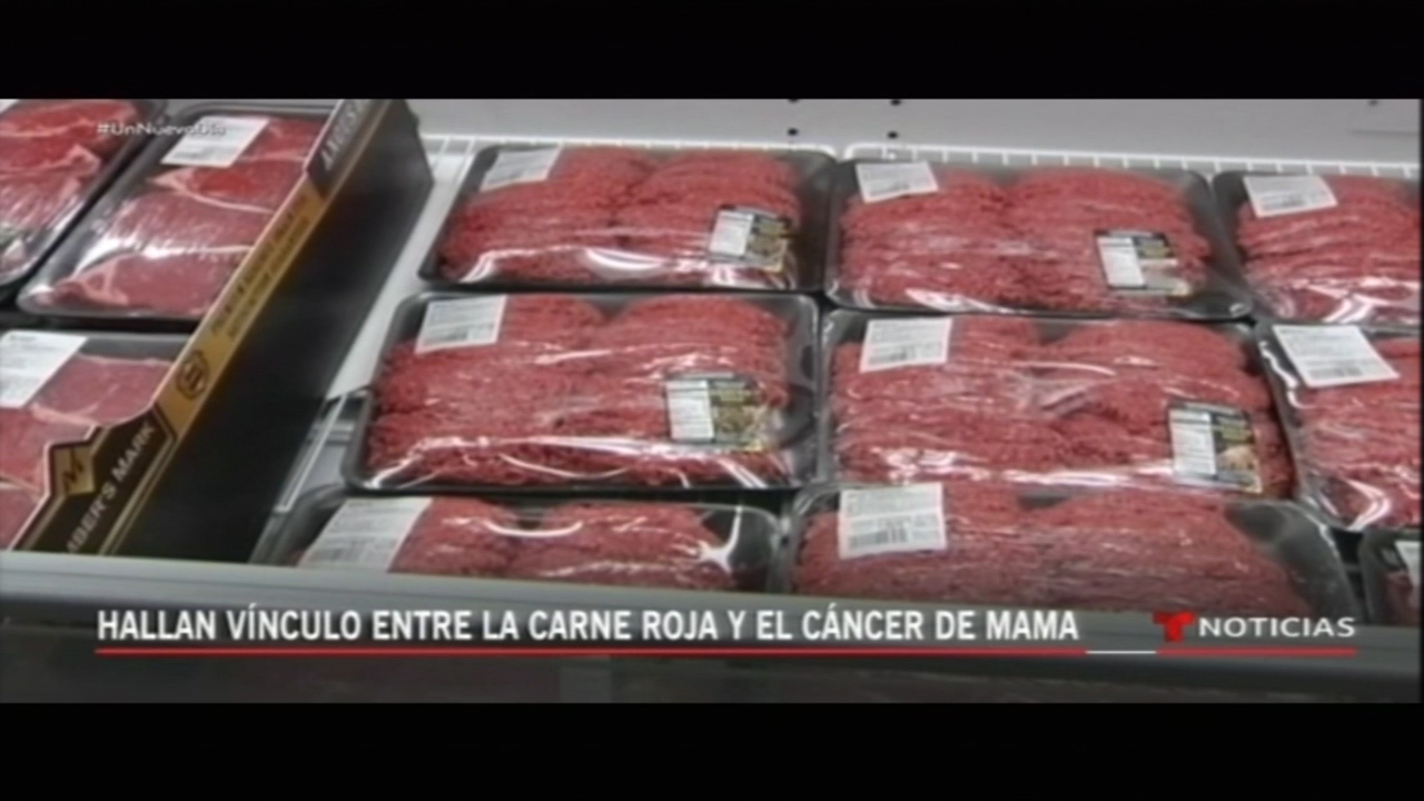 Hallan Vinculo Entre La Carne Roja Y El Cáncer De Mama