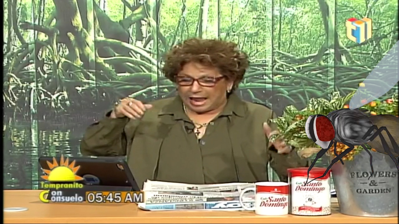 El Informe Del Tiempo Con Consuelo ⛈