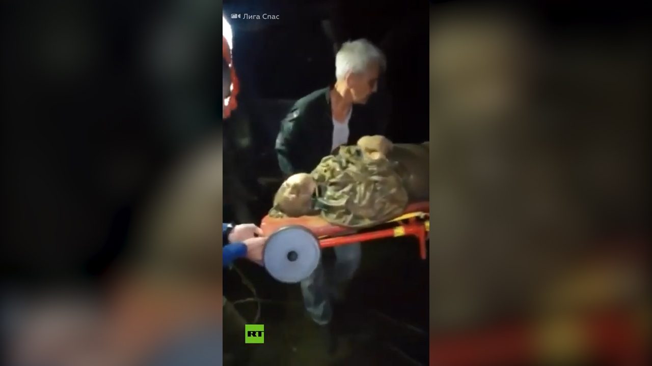 Una Anciana Permanece Un Día Parada En Una Ciénaga Para Salvarse De Un Oso Al Que Espantaba Con Su Rugido