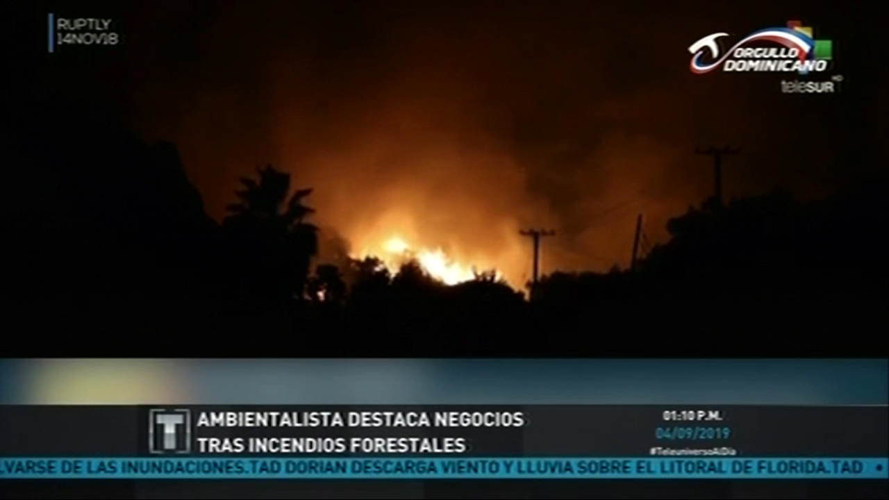 Ambientalista Destaca Negocios Tras Incendios Forestales