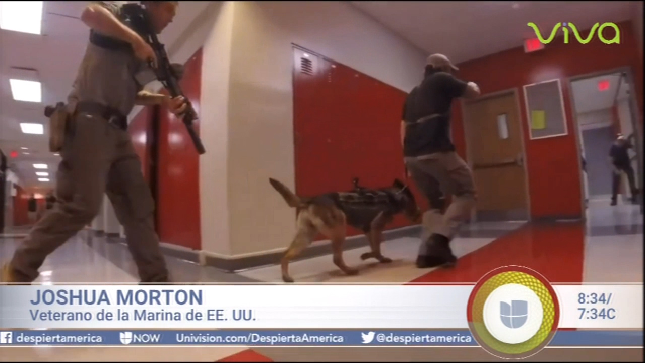 Veterano De La Marina Entrena Perros Para Garantizar Seguridad En Escuelas