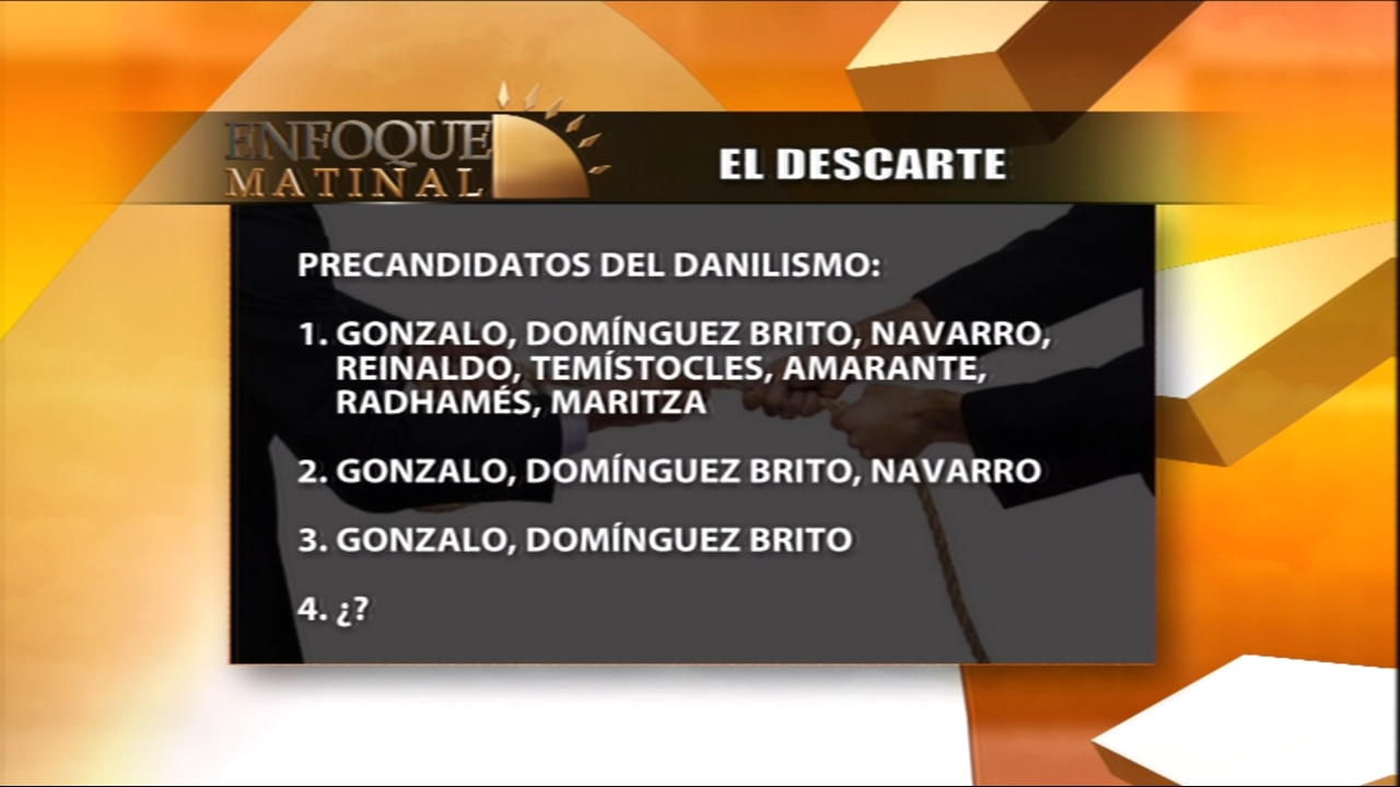 ¿Cuáles Serán Los Precandidatos Del Danilismo Que Llegarán A La Final?