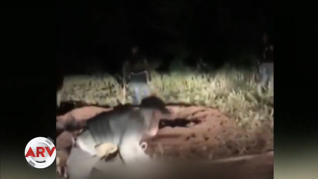 53 Secuestrados Fueron Torturados Hasta La Muerte Por Presuntos Narcotraficantes